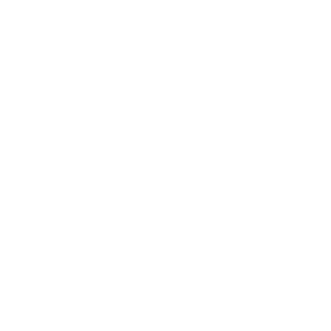 Icon (17)