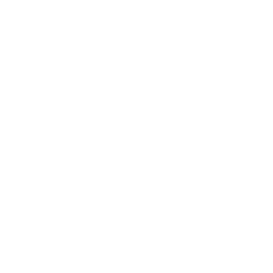 Icon (45)