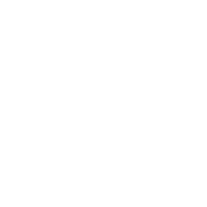 Icon (48)
