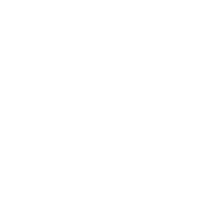 Icon (65)